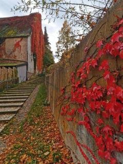 Gästezimmer Reitinger - 8