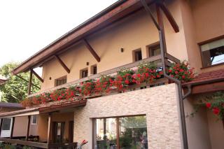 Vila Andrei - 9