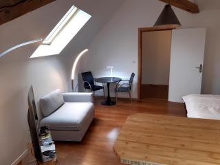 loft studio avec charme et authenticité - Altkirch - 5