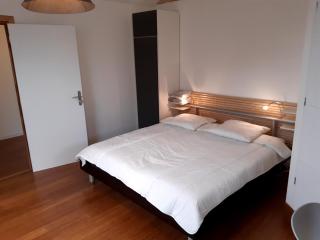 loft studio avec charme et authenticité - Altkirch - 6