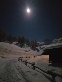 Appartamento Aroula - Ayas - 3