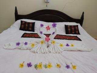 Xuanmai Garden Resort - Pakse - 1