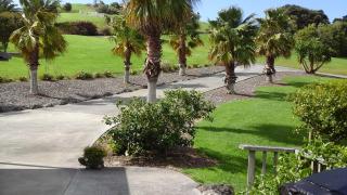 Pukeko Nest - Russell - 9