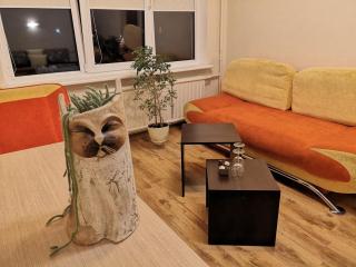 Kalniečiai park apartment - Kaunas - 5