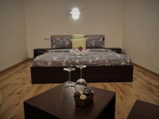Kalniečiai park apartment - Kaunas - 8