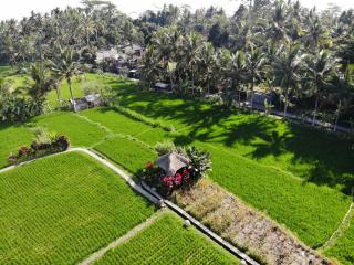 MATHIS Retreat Ubud - Ubud - 8