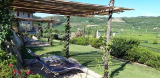 Agriturismo Tamellini - Soave - 3