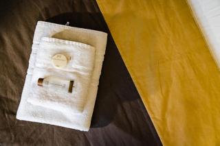 Guesthouse PoortAckere Ghent - Ghent - 8