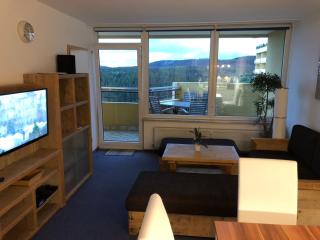 App 362 Panoramic Hohegeiß - Braunlage - 4