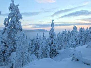 Vuokraruka - Kuusamo - 2