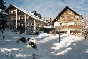 Hotel Berghof - Willingen - 1