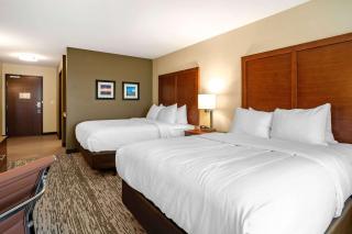 Comfort Inn & Suites Ames near ISU Campus - Ames - 2
