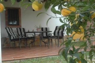 Casa Jazmín - Zahora - 4