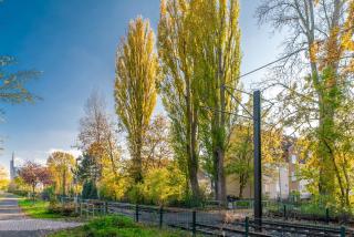 Private Apartment Smoker - Hannover - 1