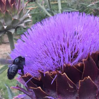 Agriturismo La Creta - 7