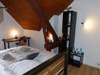 LES CHAMBRES DU GAVE D'OSSAU - Arudy - 3