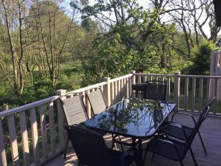 Bock Retreat Lodge 54 with Hot Tub - Felton - 3