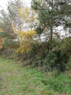 Pod Sową - Drawsko Pomorskie - 4