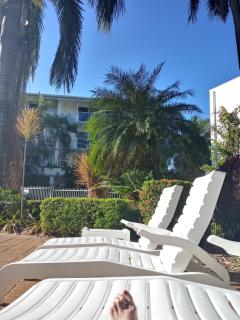 Paradise in the Tropics - Palm Cove - 2