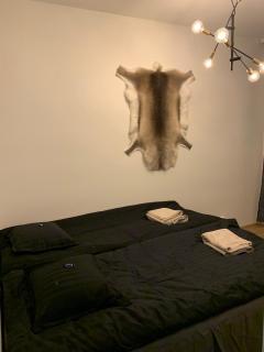 Polar Point of View - 3