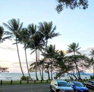 Paradise in the Tropics - Palm Cove - 9