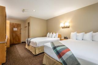 Snow Cap Inn - Newry - 9