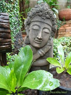 Baan Baimai Boutique Room - Phra Nakhon Si Ayutthaya - 2