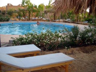 Siwa Shali Resort - Siwa - 4
