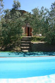 La Casina del Bosco - Subbiano - 6
