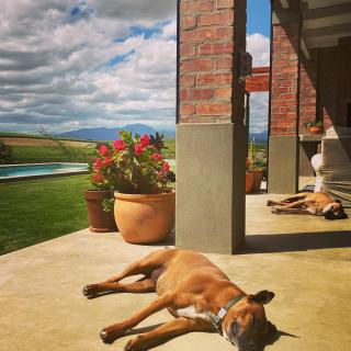 Vineyard Views Country House - Riebeek-Kasteel - 8