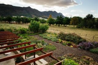 Vineyard Views Country House - Riebeek-Kasteel - 3