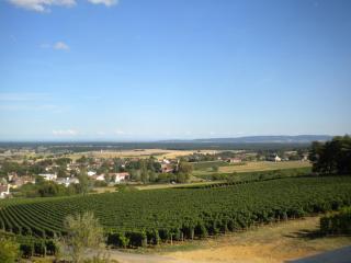 Le Mont Laurent - Buxy - 6
