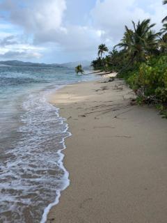 Pelican Cove Condo - 4