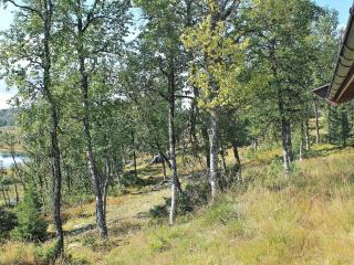 Three-Bedroom Holiday home in Nesbyen - Nesbyen - 5