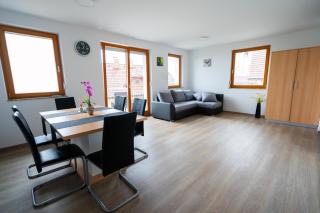 PJagodic Apartments & Wellness - Cerklje na Gorenjskem - 7