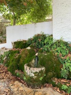 Villa Remedios - Cuevas del Becerro - 7