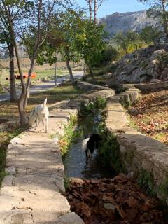 Villa Remedios - Cuevas del Becerro - 8