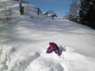 Gästeheim Pötscher - 4