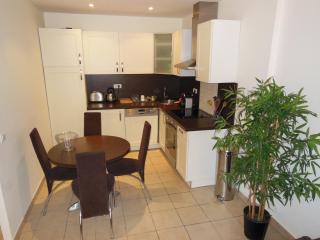 1 Bedroom Joffre 2 mins from Palais des Festivals 263 - Cannes - 1