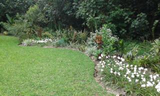 Dieu Donnee River Lodge - Port Shepstone - 5