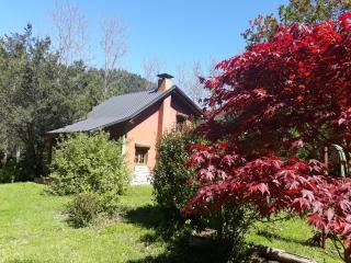 Cabañas La Yoica Reserva Natural - 1