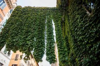 Colosseum/Panisperna Nina apartament with terrace - Rome - 9