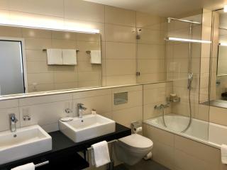 Hotel Alpina Luzern - Lucerna - 5