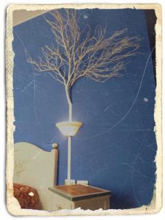 Le Tre Stelle - 9