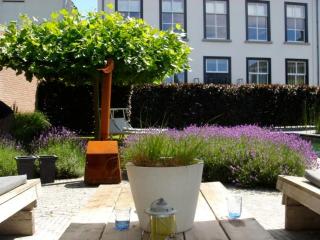 Gardenhouse with private jacuzzi and sauna - Teteringen - 7