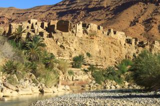 Oasis travel - Ksar Tazouga - 8