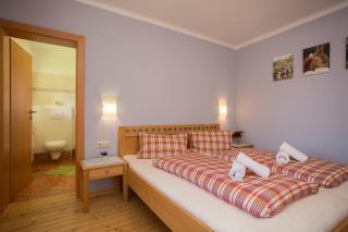 Säuleck Appartement mit Mobilitätspass - 4