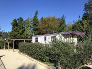 Des roulottes en Provence - Barbentane - 2