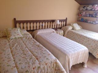 CASA RURAL AMADOR - Villarroya de los Pinares - 1