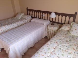 CASA RURAL AMADOR - Villarroya de los Pinares - 8